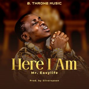 Mr Easylife Here I Am mp3 image